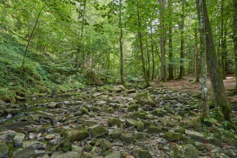 Gemeinde Waldkirchen Landkreis Freyung-Grafenau Saußbachklamm (Dirschl Johann) Deutschland FRG